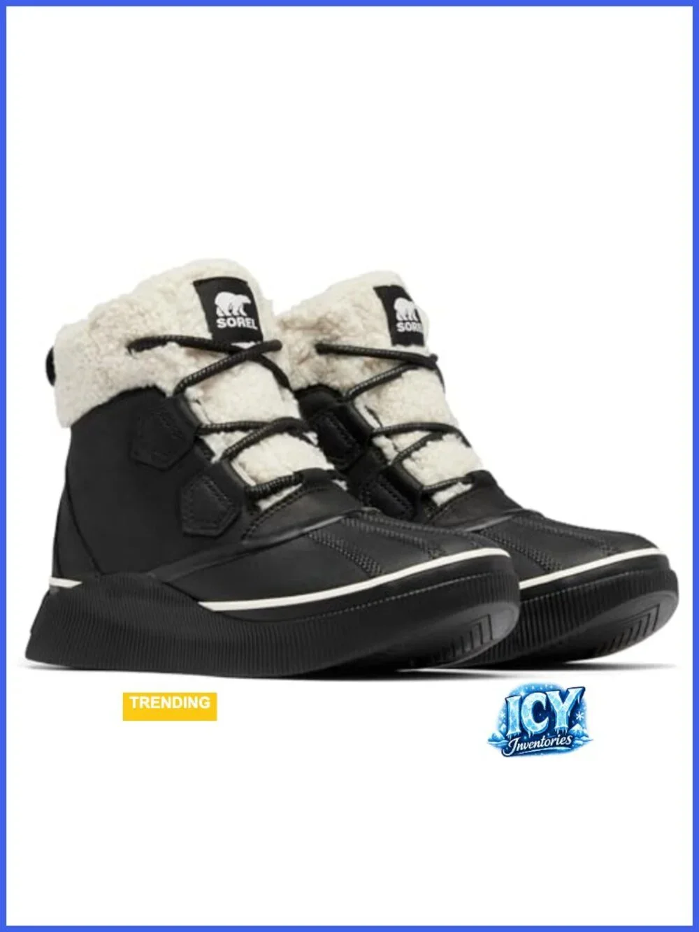 Waterproof Ankle Snow Boot - Faux Fur Lining, Lace Up